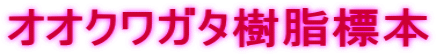 IINK^W{