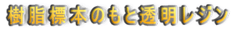 W{̂ƓW